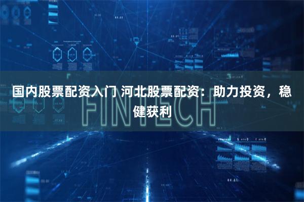 国内股票配资入门 河北股票配资：助力投资，稳健获利