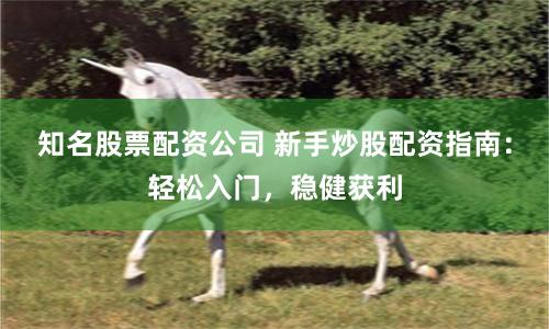 知名股票配资公司 新手炒股配资指南：轻松入门，稳健获利