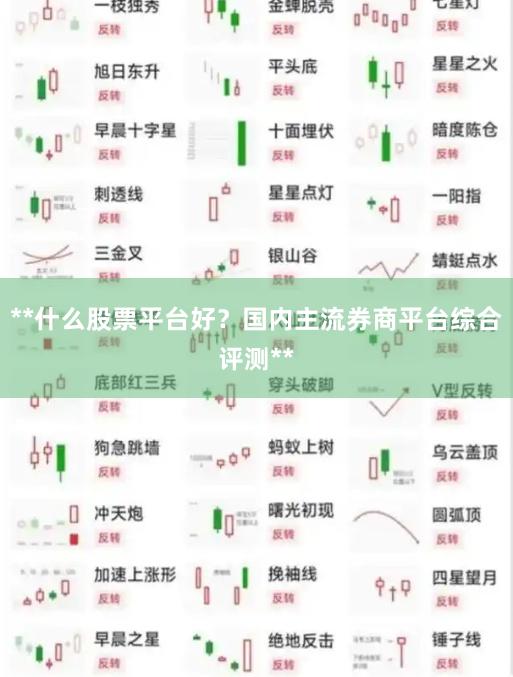 **什么股票平台好？国内主流券商平台综合评测**