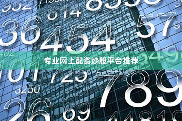 专业网上配资炒股平台推荐